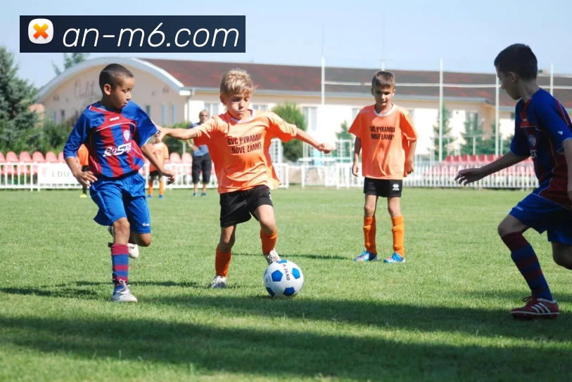 M6体育注册发展历程